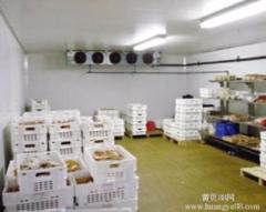深耕冷鏈科技，守護海鮮鮮活——大連生鮮冷庫安裝·維修·銷售·電子設備工程一站式服務